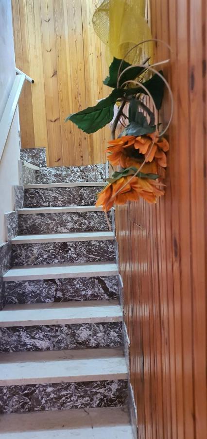 Casa Vacanza A Punta Secca Dış mekan fotoğraf